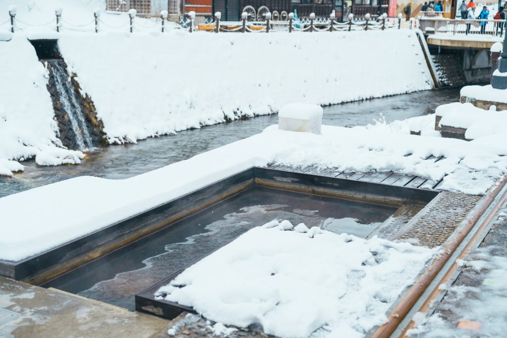 Japan Snow Monkey Hot Springs